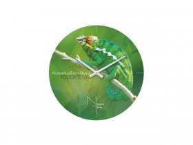 Часы настенные Nicole Time NT503 в Чике - chik.mebel-nsk.ru | фото