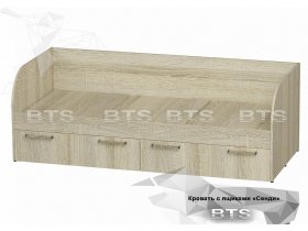 Кровать детская Сенди КР-01 (BTS) в Чике - chik.mebel-nsk.ru | фото